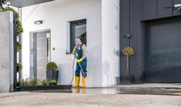 Best Rust Removal  in Lake Placid, FL